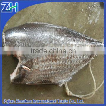 sea frozen moonfish atlantic pomfret