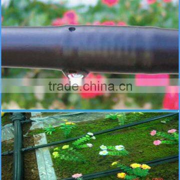 High Quality PE pipe for watering and irrigation