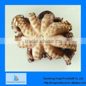 best cooking octopus vulgaris