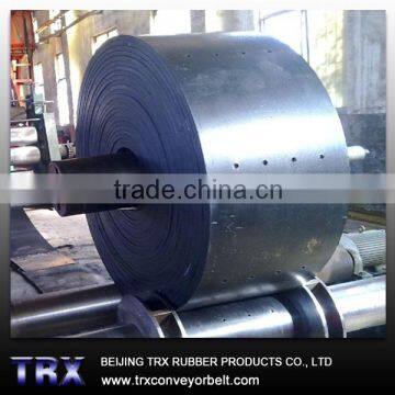 Bucket Elevator Conveyor Belt/Hole Conveyor Belt