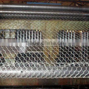 3/8'' hot sale chicken wire mesh