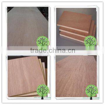 12mm Bintangor Wood Plywood