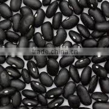 CHINA BLACK BEANS WITH GOOD QUALITY FOR HOT SALE