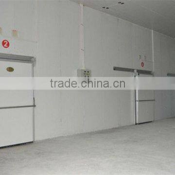 Single PU foam filling sliding cold room door