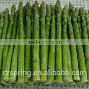 FROZEN ASPARAGUS,FROZEN GREEN PEAS,FROZEN POTATO CHIPS,FROZEN ONION,FROZEN MIXED VEGETABLES,FROZEN GARLIC,FROZEN VEGETABLES