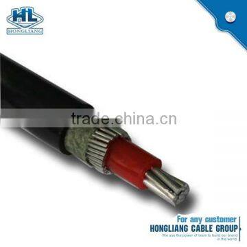 2x16mm2 8000 series aluminum Alloy PVC/PVC Concentric Conductor Power Cable