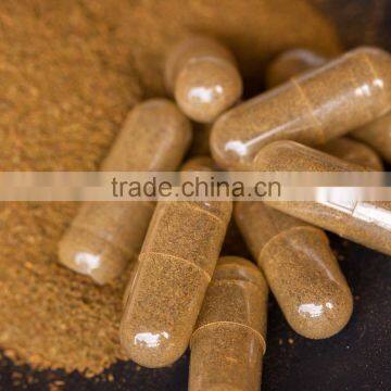 100% Pure Amla Capsules Bulk Exporters