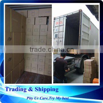 Reliable logistics Sea shipping sea freight from China website:ding_quanying