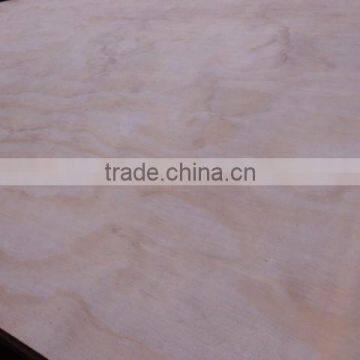 linyi best price of pine plywood to africa and UAE market