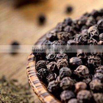 Black Pepper