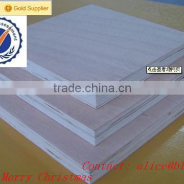 China factory interior decorative plywood prices