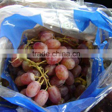 tomson grapes