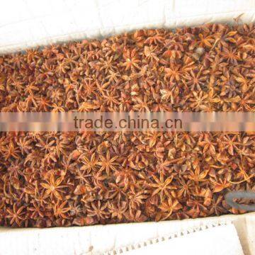 AUTUMN CROP HIGHT QUALITY STAR ANISEED (skype:tuanminhco)