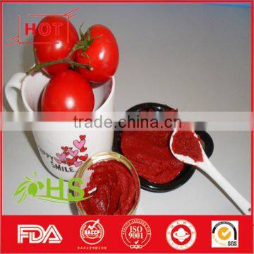 Wholesale canned tomato paste/tomato ketchup