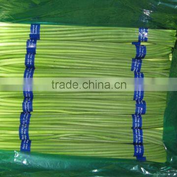 2015 new crop fresh garlic shoots for exporting