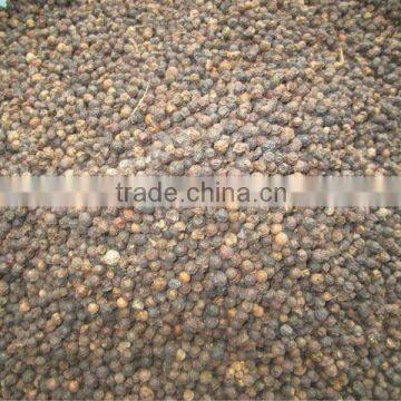 VIETNAM BLACK PEPPER FAQ/HIGH QUALITY