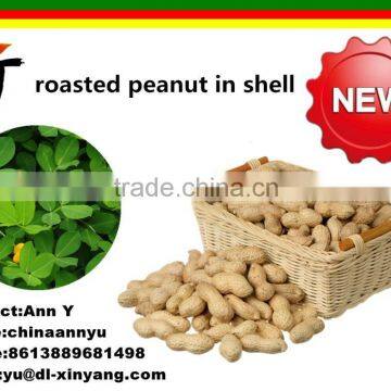 Wholesale Good Quality Peanuts Importers photo-3