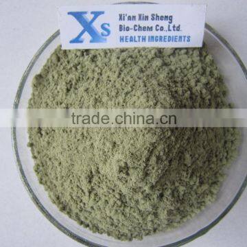 GMP Natural High Quality Damiana Extract/Damiana leaf Extract/Damiana leaf Extract Powder