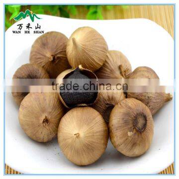 Factory Supply Fermentation Box Black Garlic