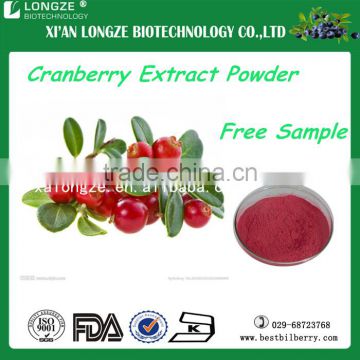 100%$ Natural Vaunium Macrocarpon extract /Cranberry extract powder with anthocyanidins spray-dried cranberry fruit powder