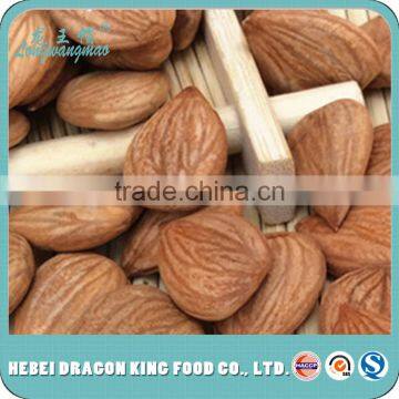 hot sale on alibaba food companies used products sweet apricot seeds, kernels, bitter apricot seed