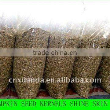 Pumpkin seed kernels shine skin AAA,AA,A