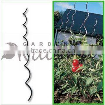 Tomato Growing Spiral Stick