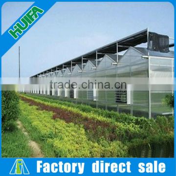 Commercial Polycarbonate Greenhouses Structure with Hydroponic System