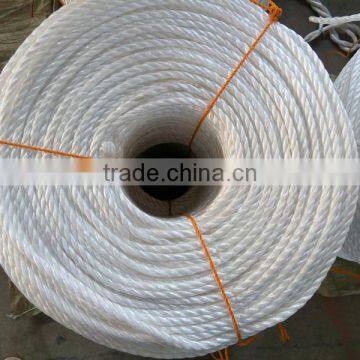 Plastic pp Split Film Rope for Fishing Free Sample photo-4