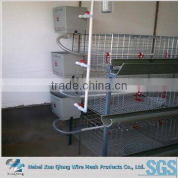 chicken cage poultry farm/design layer chicken cage for poultry farm