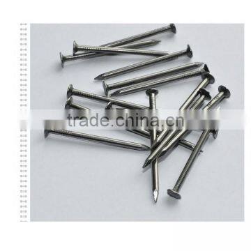 China Manufacturer Common Nails Iron Nail Price and Size photo-3