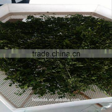 Moringa Leaves Drying Sterilizing Machine photo-3