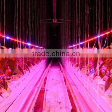 2016 New Arrival MarsHydro Waterproof Led Grow Light Bar Full Spectrum Grow Light Strip/bar Indoor Plant photo-6