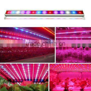 Strawberry Grow Light 15W 30W 45W 60W Led Strip Manufacturer photo-6