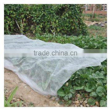 vegetable cover/ protection from cold