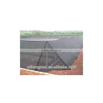 Agricultural Shade Net, Plastic Net, Green Shade Net,green Hourse,China Manufacture HDPE Shade Net, Plastic Net, pe Net photo-2