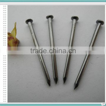 2.5" Polished Nail/Common Nail/Wire Nail