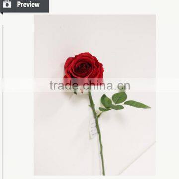 New Arrival Flower Home Decoration Real Touch 7 Flowers Purple Dendrobium photo-4