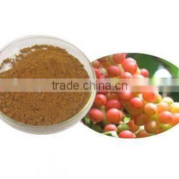 Acanthopanax Senticosus Extract/siberian Ginseng Extract Powder photo-2