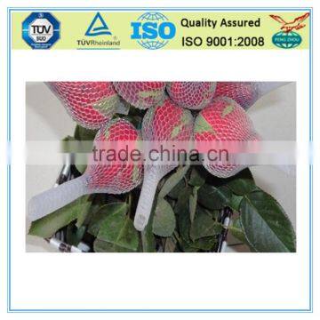 Durable Waterproof Plastic Net for Rose Bud photo-2