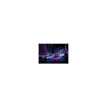 5050 RGB SMD IP10 LED Strip Light REX1000-30RGB5050-NW
