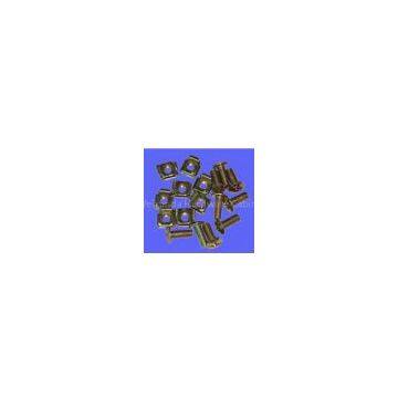 Nuts(Cabinet Accessories)