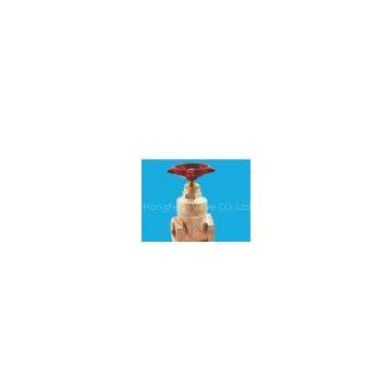 gate valve