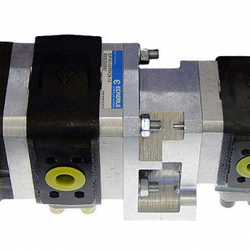 Eips2-006rk34-10 Iso9001 Eckerle Hydraulic Gear Pump Excavator