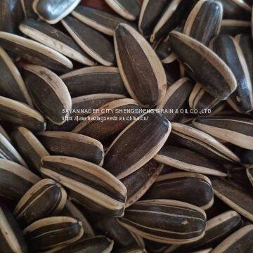 2019 New Crop Sunflower Seeds From Xinjiang photo-2