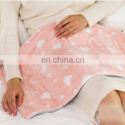 100 Cotton Heated Wholesale 12 Volt Custom Weighted Heating Electric Blanket photo-3