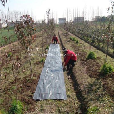 100gsm Black 3ft x 100ft Grass Lawn Weed Control Fabric Ground Cover Membrane Garden landscape