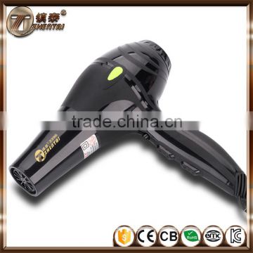 Fashionable Hair Dryer Professional AC Motor Hair Dryer Blow Dryer