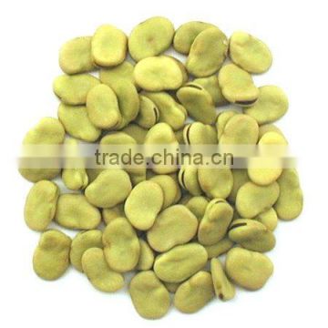 Chinese Broad Beans