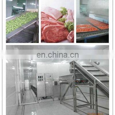 Cauliflower/broccoli Vegetable Quick Freezing Iqf Tunnel Freezer Equipment/iqf Machine photo-2
